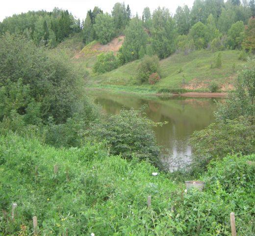 Пермский край змеевка погода. Деревня Змеевка Пермский край. Деревня Змеевка Пермский край Частинский район. Село ножовка Пермский край Частинский район. Частинский район село змеёвка.