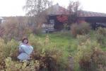 Продажа Дома, СКОТИНЫ