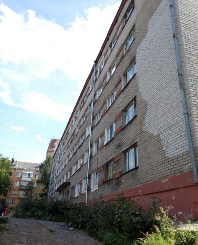 Репина 63 гайва. Репина 31 пермь гайва. Мир хвостатых зоомагазин. Пермский край, пермь, ул. Улица репина пермь.