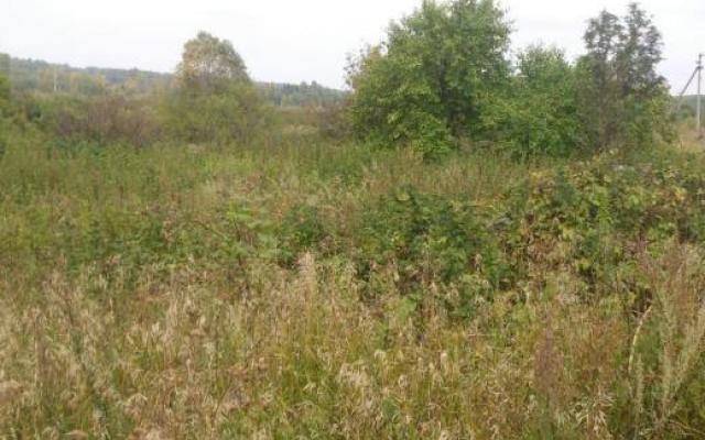 Купить Участок В Пермском Районе Ижс