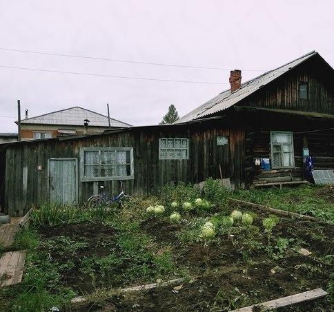 Купить Цветы В Кудымкаре С Доставкой