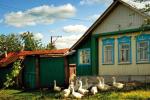 Аренда Дома Аренда Дома
